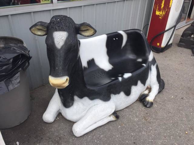 morning picdump 50 pics 3.html - 50 HD Photos | Premium Gallery 2018