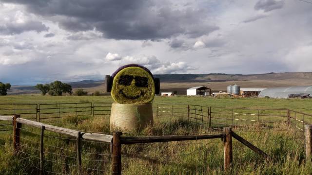 morning picdump 50 pics 3.html - 50 HD Photos | Premium Gallery 2018