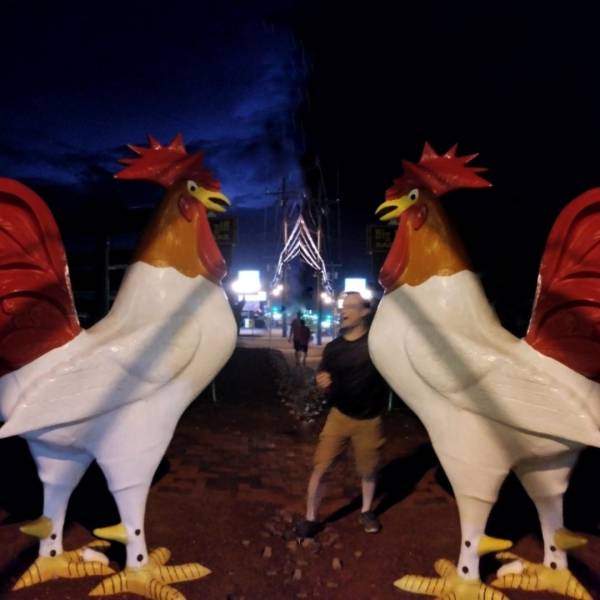 morning picdump 50 pics 3.html - 50 HD Photos | Premium Gallery 2018