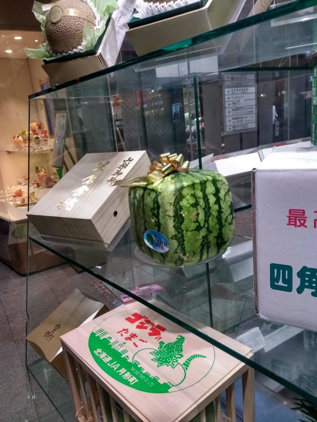 morning picdump 50 pics 3.html - 50 HD Photos | Premium Gallery 2018