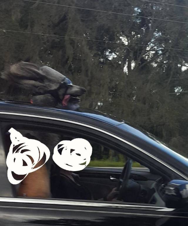 morning picdump 50 pics 3.html - 50 HD Photos | Premium Gallery 2018