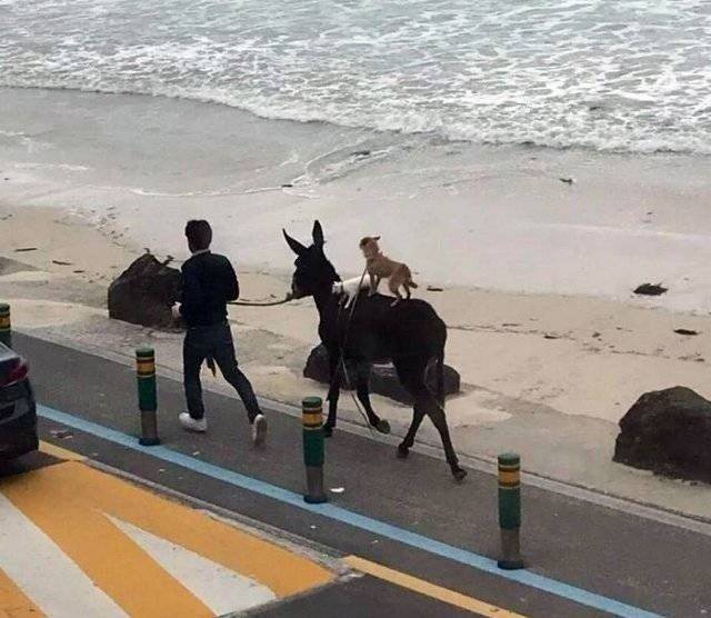 daily picdump 98 pics 22.html - 98 HD Photos | Premium Gallery 2018