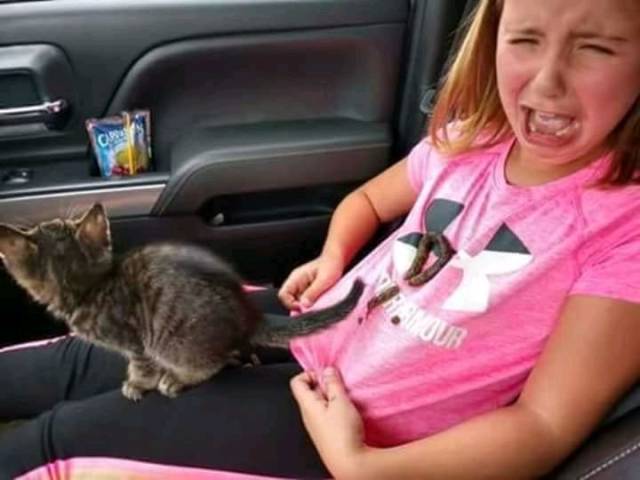 daily picdump 98 pics 22.html - 98 HD Photos | Premium Gallery 2018