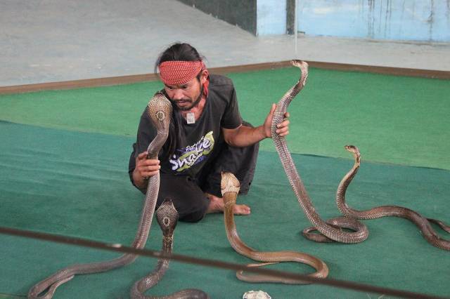 daily picdump 98 pics 22.html - 98 HD Photos | Premium Gallery 2018