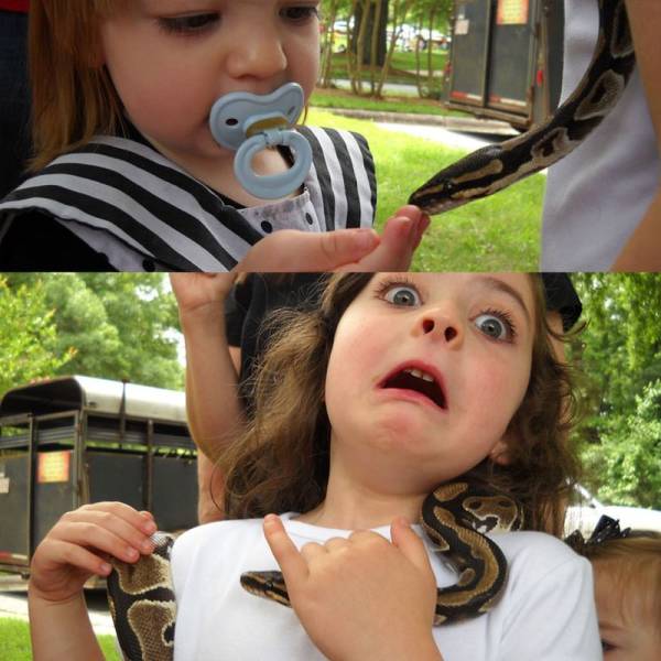 daily picdump 98 pics 22.html - 98 HD Photos | Premium Gallery 2018