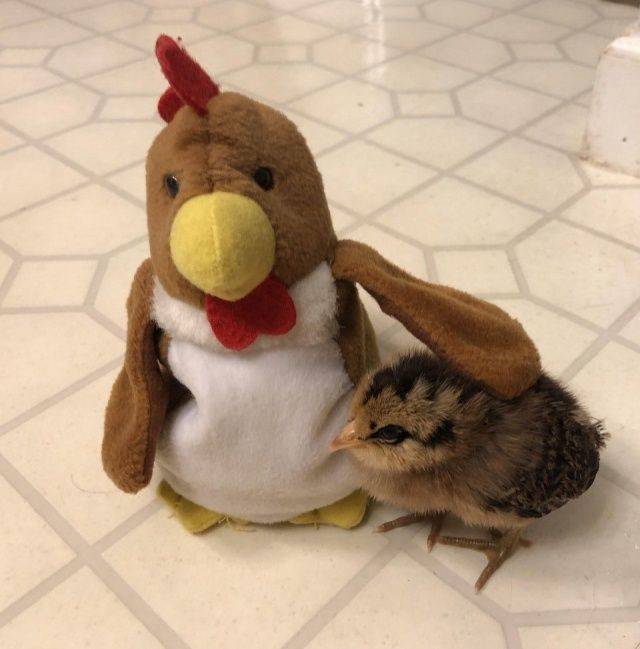 daily picdump 98 pics 22.html - 98 HD Photos | Premium Gallery 2018