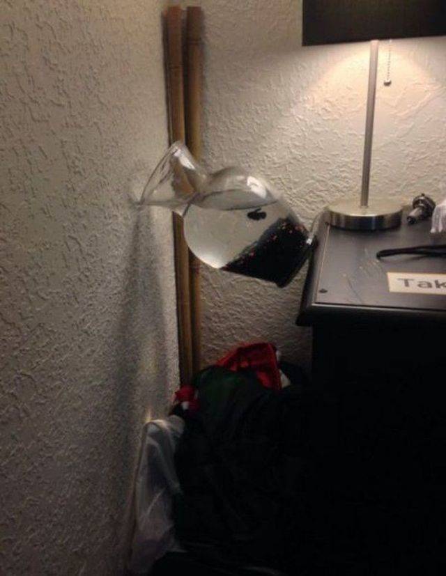 daily picdump 98 pics 22.html - 98 HD Photos | Premium Gallery 2018