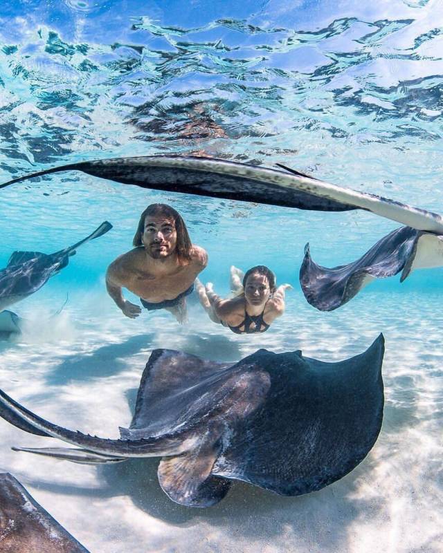 daily picdump 98 pics 22.html - 98 HD Photos | Premium Gallery 2018