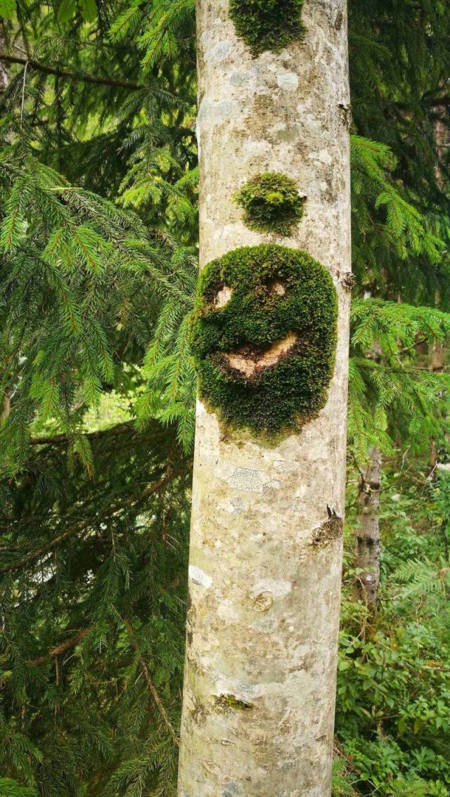 daily picdump 98 pics 22.html - 98 HD Photos | Premium Gallery 2018