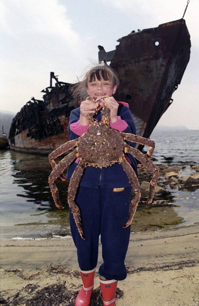 daily picdump 98 pics 22.html - 98 HD Photos | Premium Gallery 2018