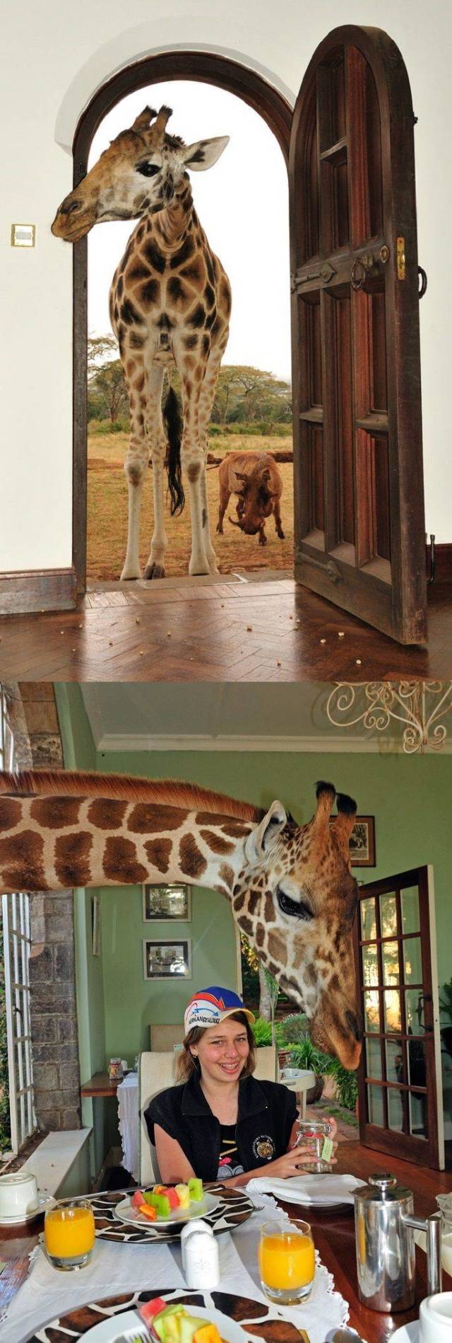 daily picdump 98 pics 22.html - 98 HD Photos | Premium Gallery 2018