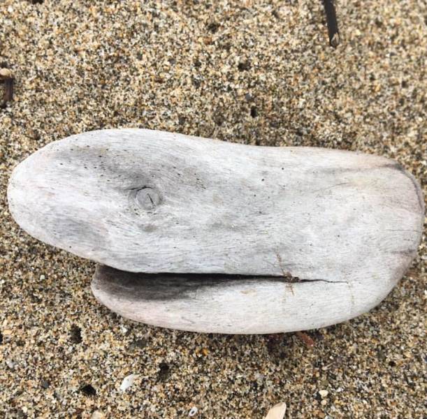 morning picdump 55 pics 2.html - 55 HD Photos | Premium Gallery 2018