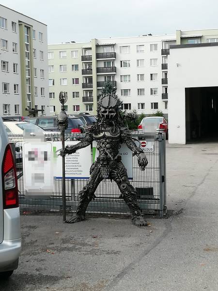 morning picdump 55 pics 2.html - 55 HD Photos | Premium Gallery 2018