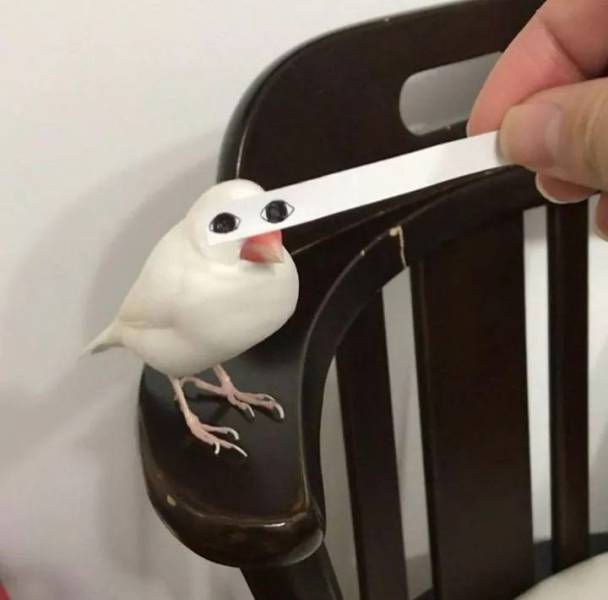 daily picdump 100 pics 33.html - 100 HD Photos | Premium Gallery 2018