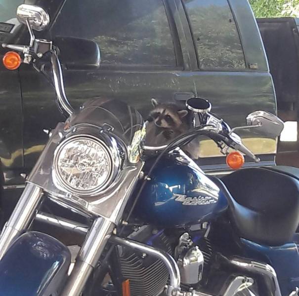 daily picdump 100 pics 33.html - 100 HD Photos | Premium Gallery 2018