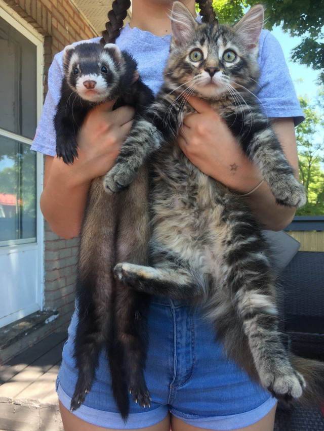 daily picdump 100 pics 33.html - 100 HD Photos | Premium Gallery 2018