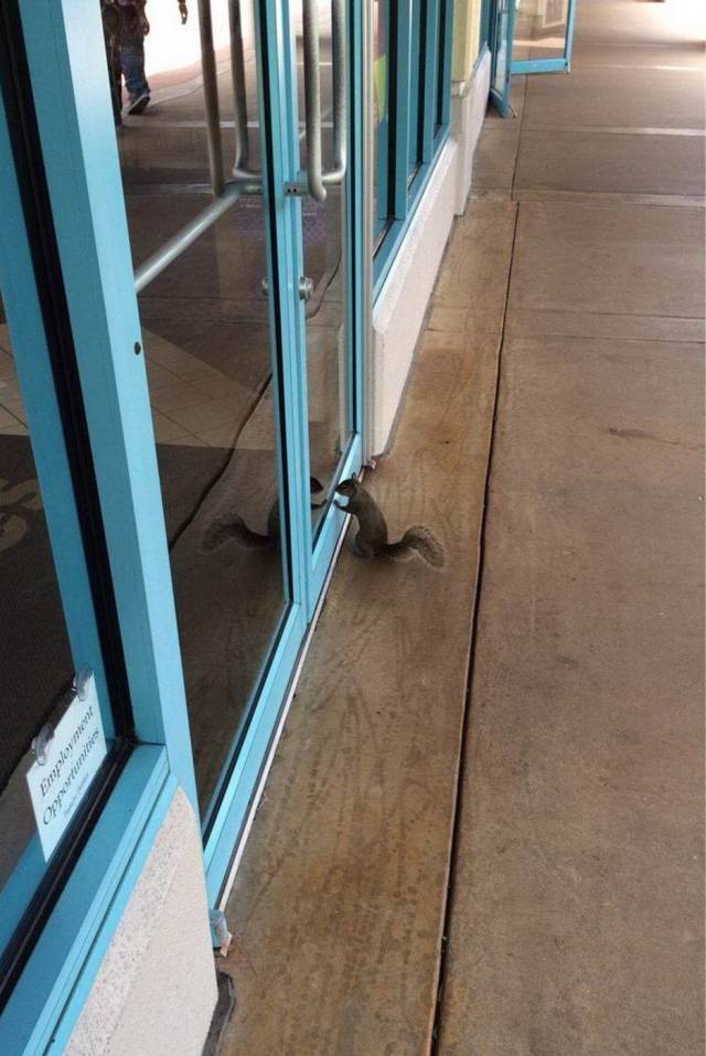 daily picdump 100 pics 33.html - 100 HD Photos | Premium Gallery 2018