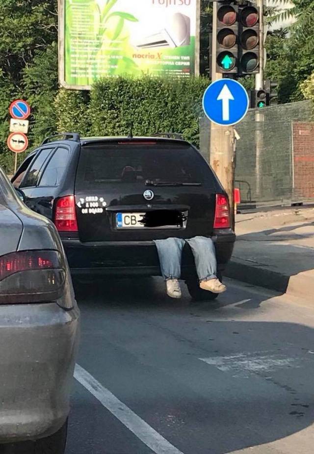 daily picdump 100 pics 33.html - 100 HD Photos | Premium Gallery 2018