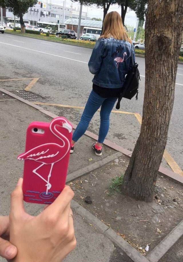 daily picdump 100 pics 33.html - 100 HD Photos | Premium Gallery 2018