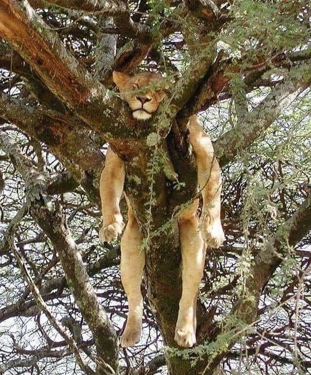 daily picdump 100 pics 33.html - 100 HD Photos | Premium Gallery 2018