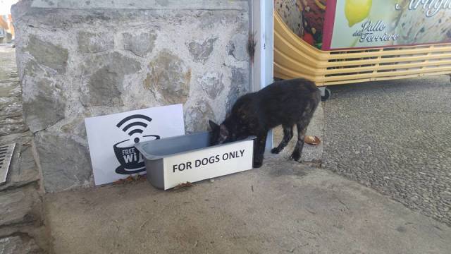 morning picdump 50 pics 7.html - 50 HD Photos | Premium Gallery 2018