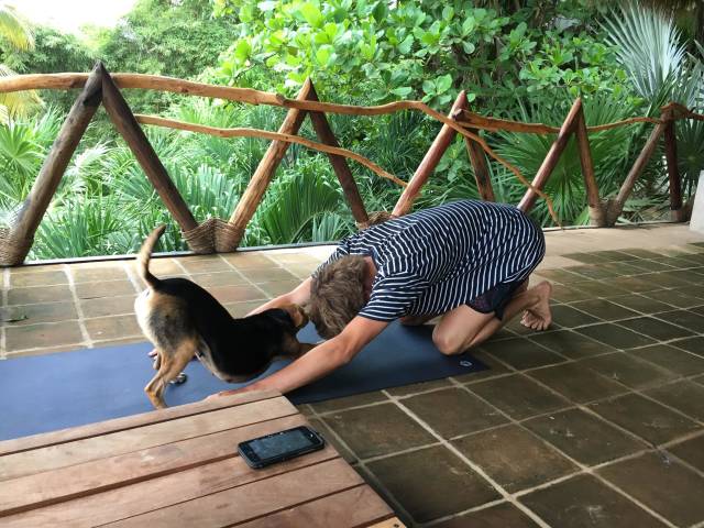 morning picdump 50 pics 7.html - 50 HD Photos | Premium Gallery 2018