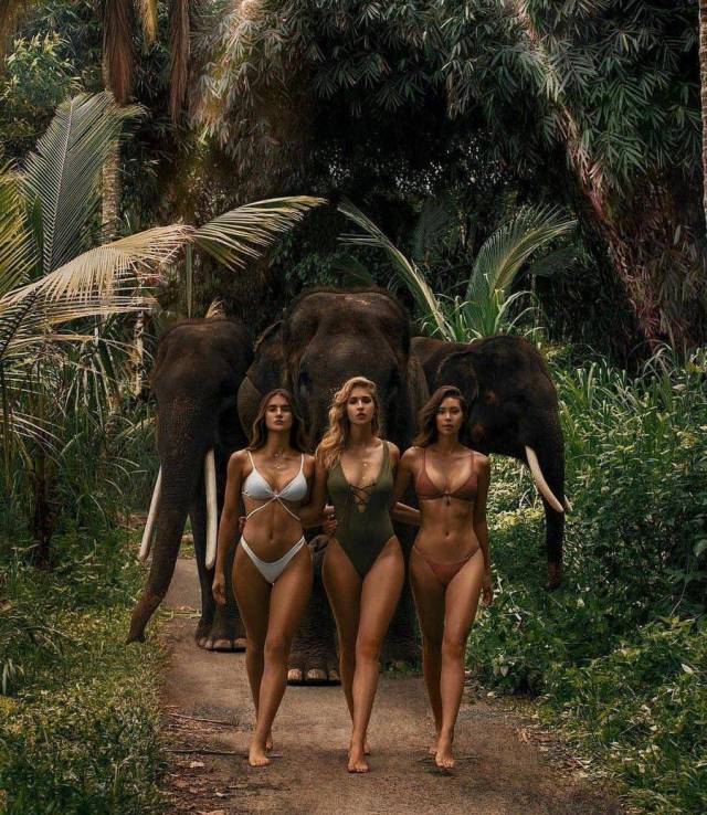 The More the Merrier