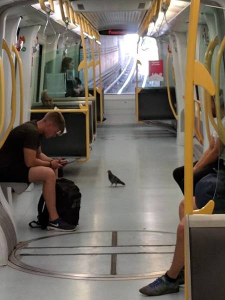 daily picdump weekend edition 52 pics 21.html - 52 HD Photos | Premium Gallery 2018