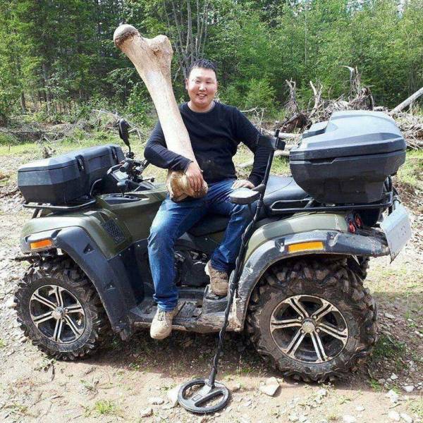 daily picdump weekend edition 52 pics 21.html - 52 HD Photos | Premium Gallery 2018