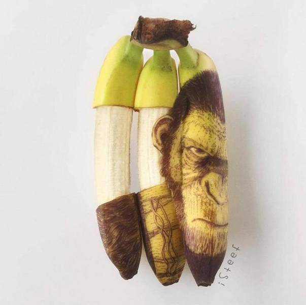 daily picdump weekend edition 52 pics 21.html - 52 HD Photos | Premium Gallery 2018