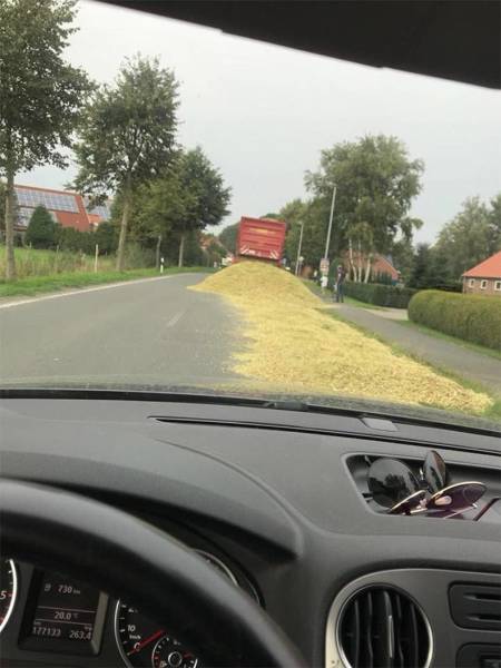 daily picdump weekend edition 52 pics 21.html - 52 HD Photos | Premium Gallery 2018