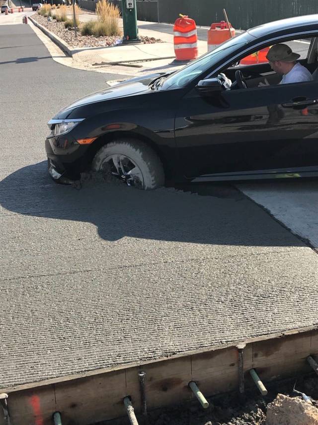 Daily Picdump [WEEKEND EDITION]