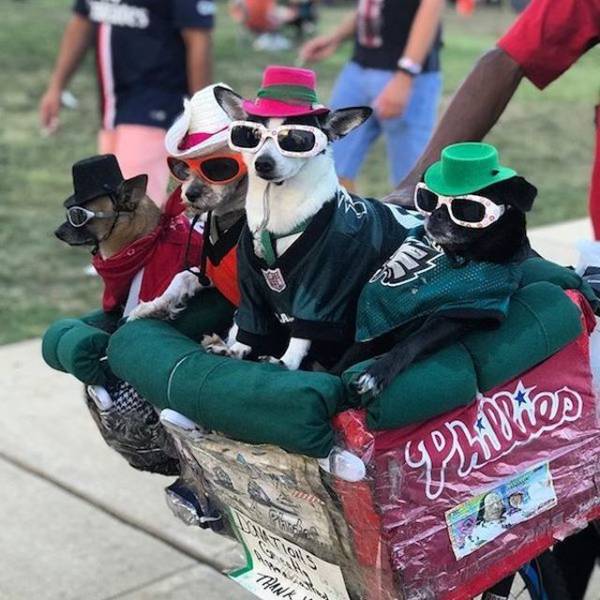 daily picdump 94 pics 3.html - 94 HD Photos | Premium Gallery 2018