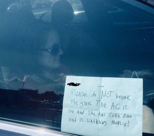 daily picdump 94 pics 3.html - 94 HD Photos | Premium Gallery 2018