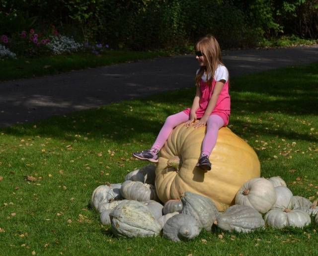 daily picdump 94 pics 3.html - 94 HD Photos | Premium Gallery 2018