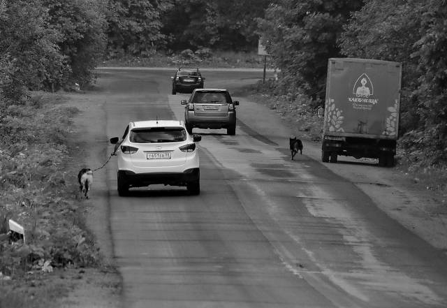 daily picdump 94 pics 3.html - 94 HD Photos | Premium Gallery 2018