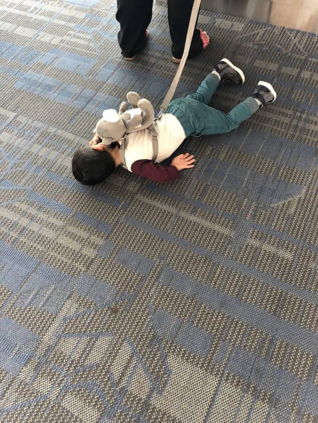 daily picdump 94 pics 3.html - 94 HD Photos | Premium Gallery 2018