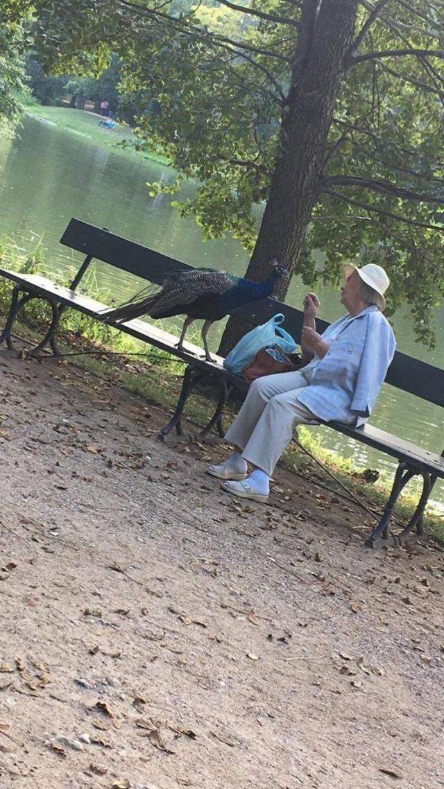 daily picdump 94 pics 3.html - 94 HD Photos | Premium Gallery 2018