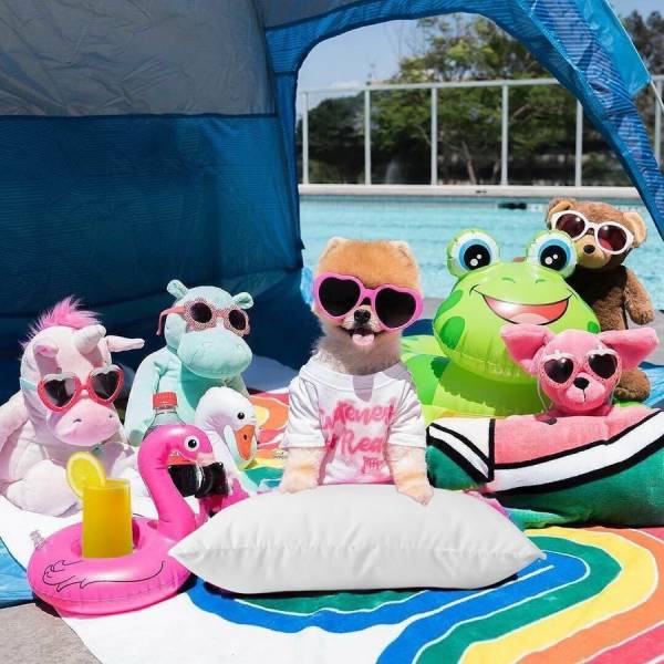 daily picdump 94 pics 2.html - 94 HD Photos | Premium Gallery 2018