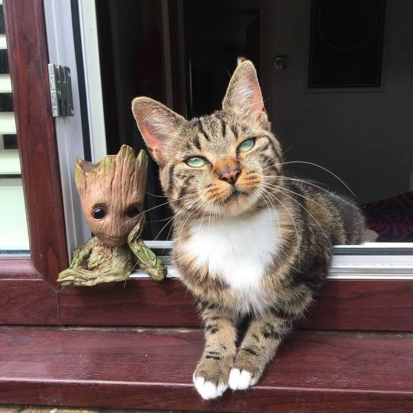 daily picdump 94 pics 2.html - 94 HD Photos | Premium Gallery 2018