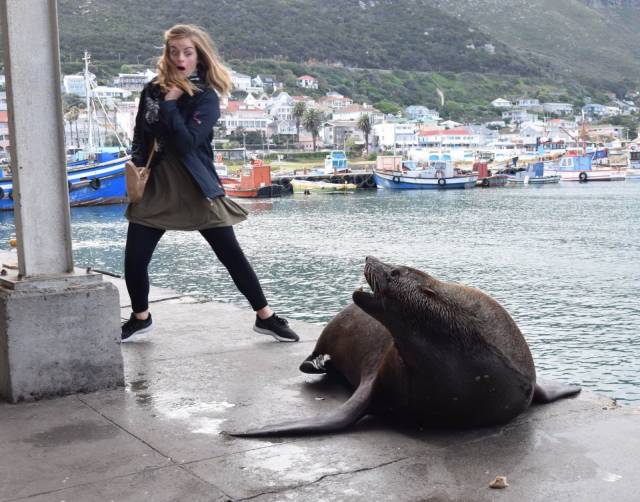 daily picdump 94 pics 2.html - 94 HD Photos | Premium Gallery 2018