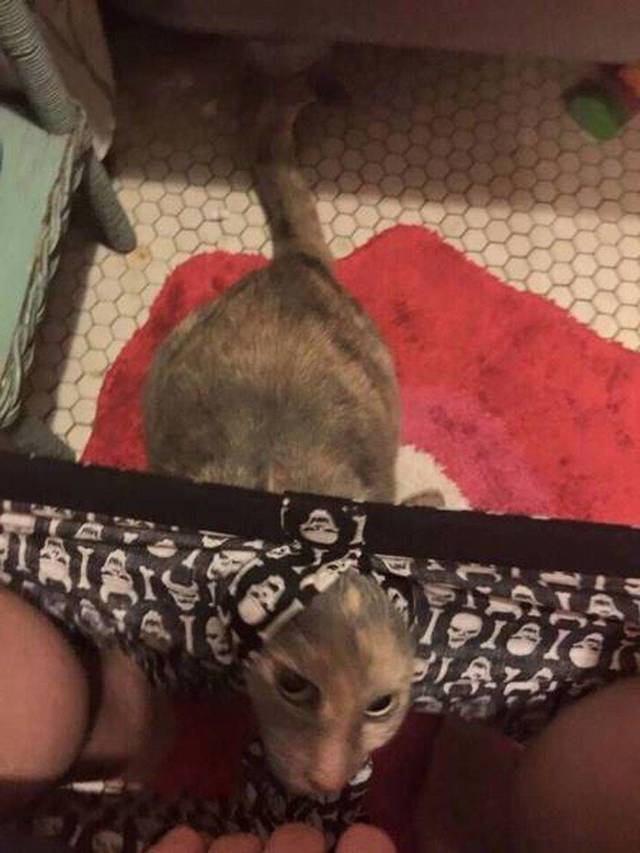 daily picdump 94 pics 2.html - 94 HD Photos | Premium Gallery 2018