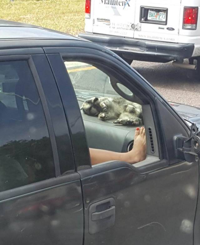 daily picdump 94 pics 2.html - 94 HD Photos | Premium Gallery 2018