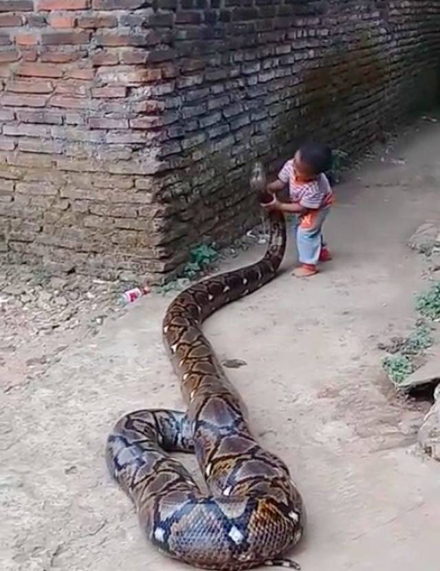 daily picdump 94 pics 2.html - 94 HD Photos | Premium Gallery 2018