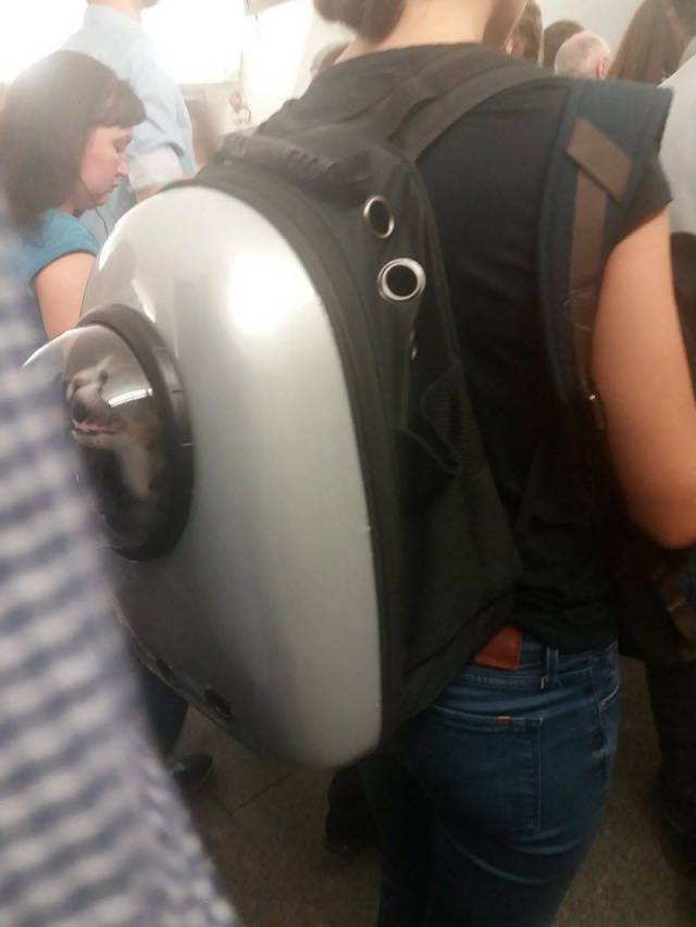 daily picdump 94 pics 2.html - 94 HD Photos | Premium Gallery 2018