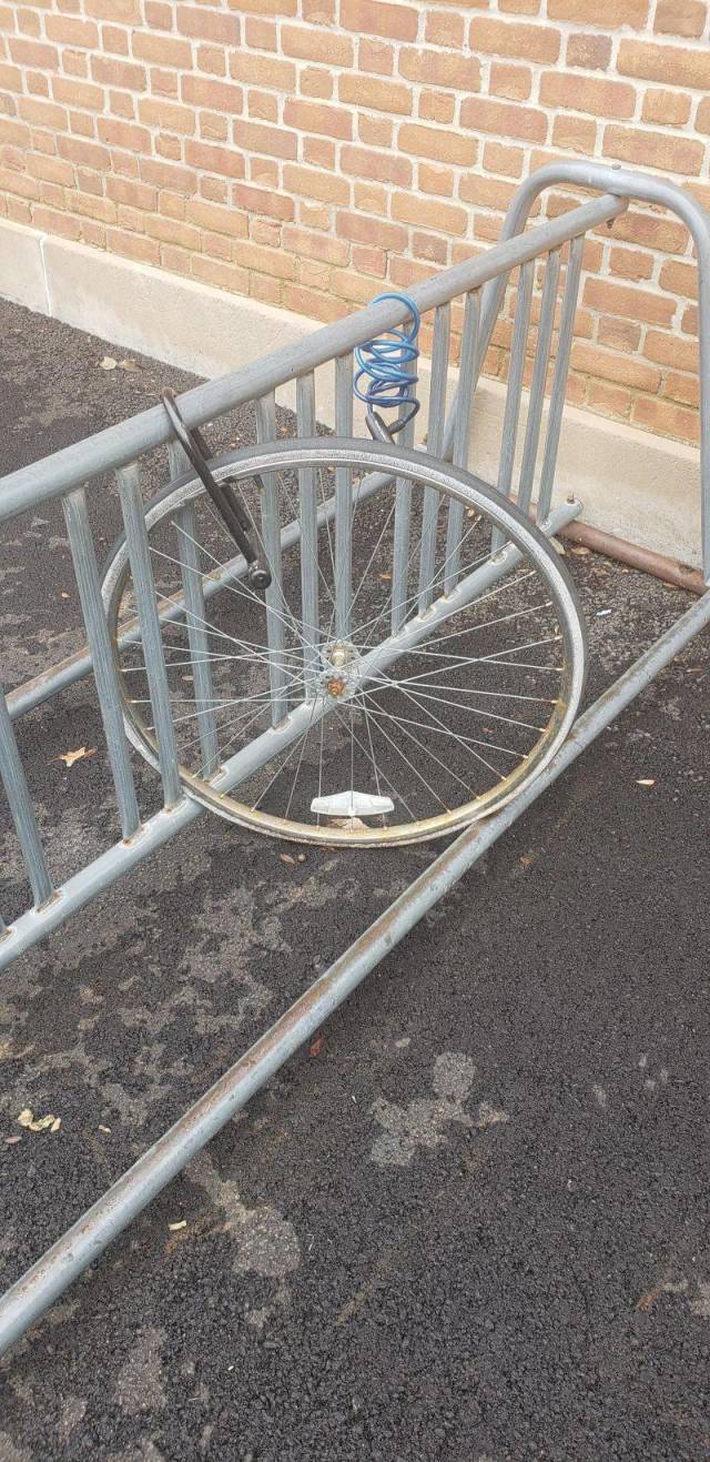 daily picdump 94 pics 2.html - 94 HD Photos | Premium Gallery 2018