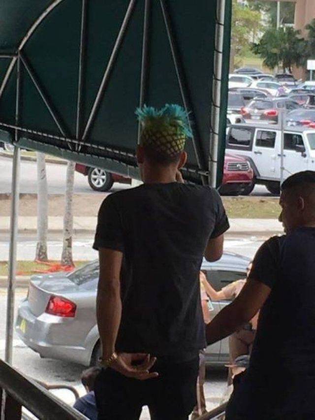 Hard-to-explain WTF Photos