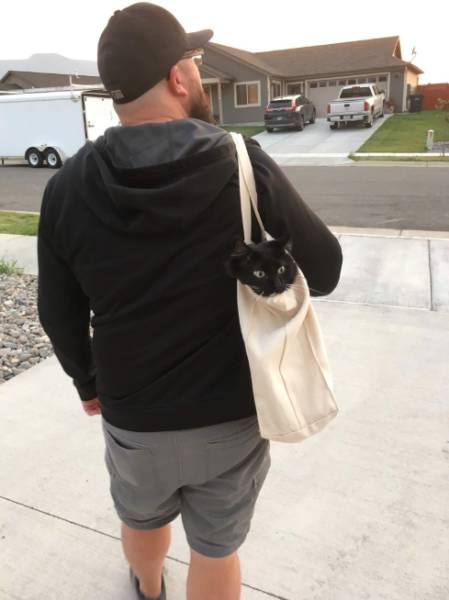 morning picdump 50 pics 3.html - 50 HD Photos | Premium Gallery 2018