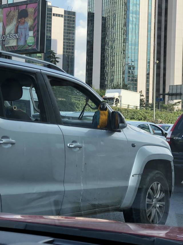 morning picdump 50 pics 3.html - 50 HD Photos | Premium Gallery 2018