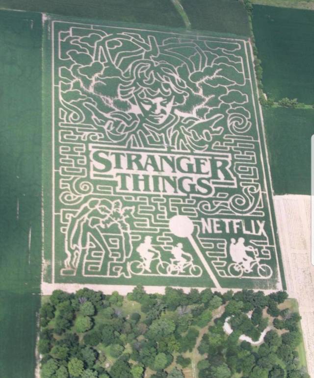 morning picdump 50 pics 3.html - 50 HD Photos | Premium Gallery 2018